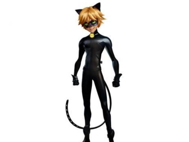 Chat Noir