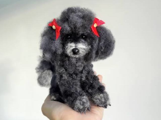 Poodle