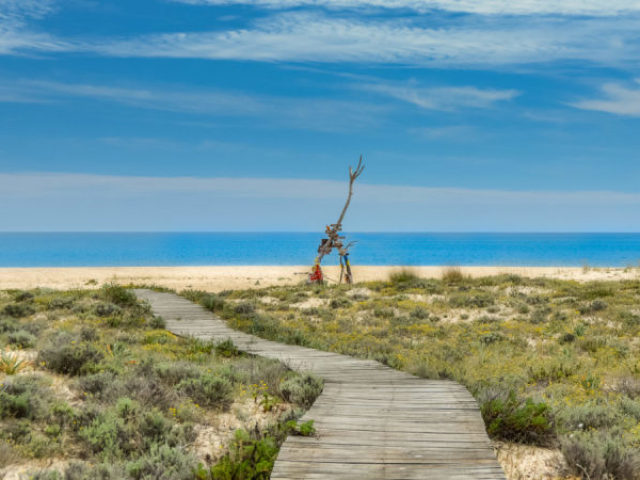 Qual papel você desempenharia em uma ilha deserta?