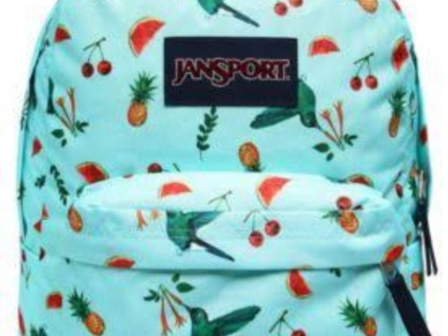 Jansport