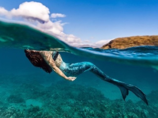 Sereia