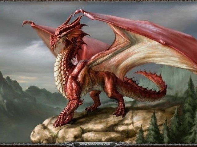 Dragão