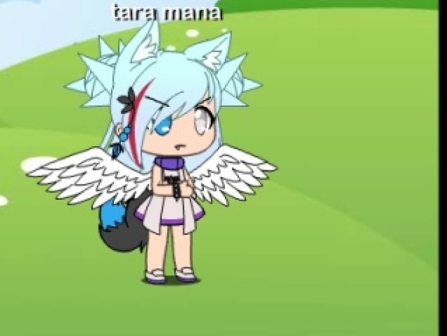 Tara