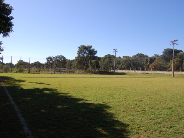 Campo