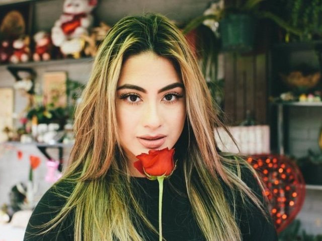 Você realmente conhece a Ally Brooke?