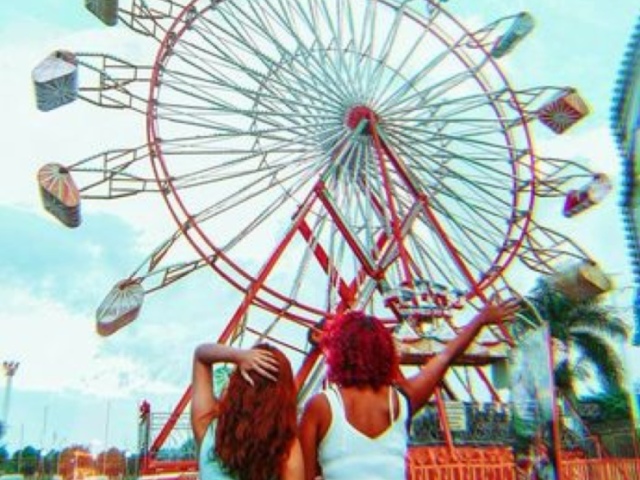 🎡