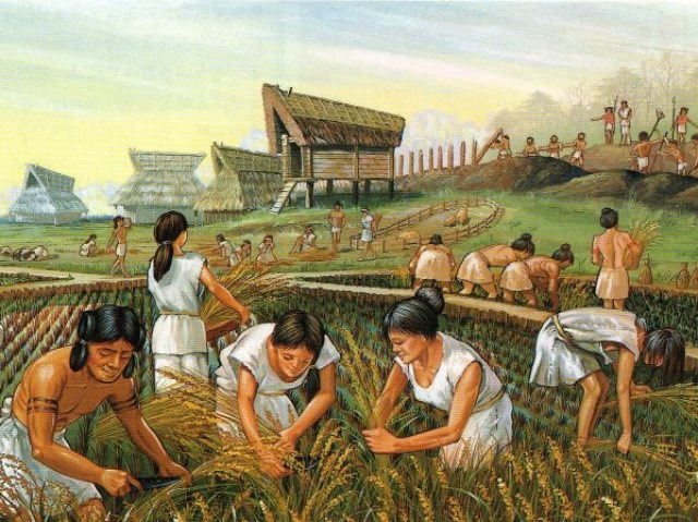 Agricultor