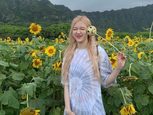 3 motivos para amar a Rosé