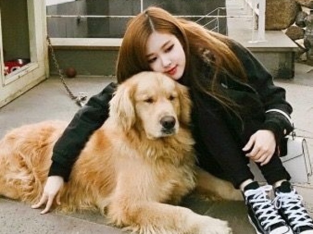 O amor da rosé