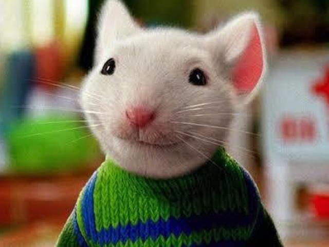 Stuart Little