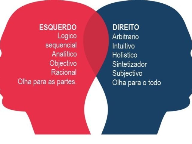 Lado Esquerdo do Cérebro.