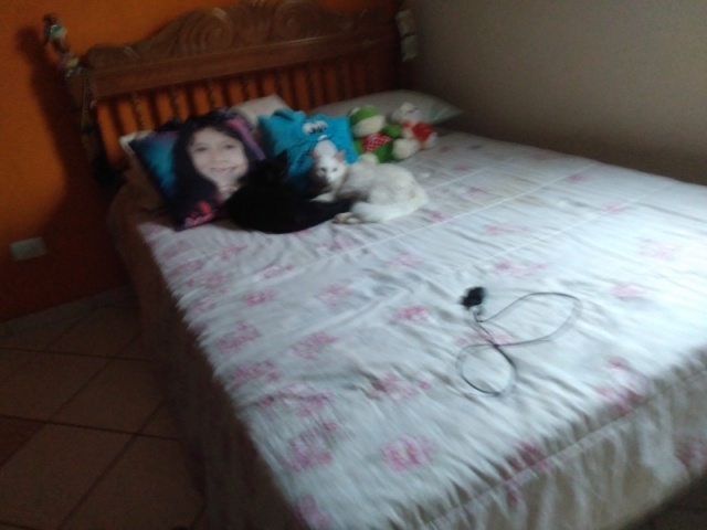 Quarto normal???