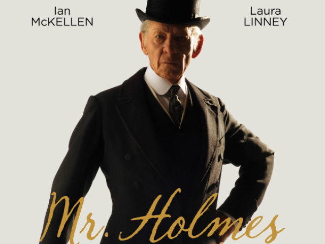 Sr. Holmes (parado mas excepcional)