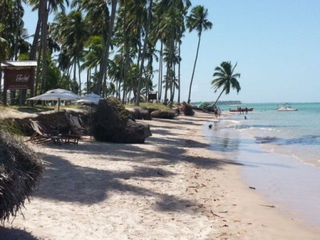 Vocês iriam dar uma volta na Praia