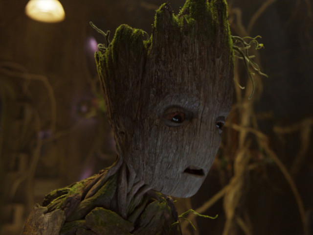 Groot