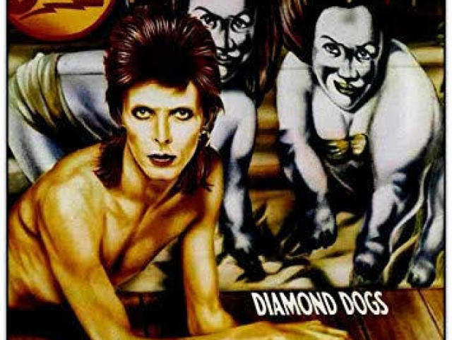 Diamond Dogs