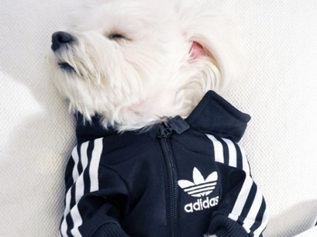 Adidas CLAROOOO!!!