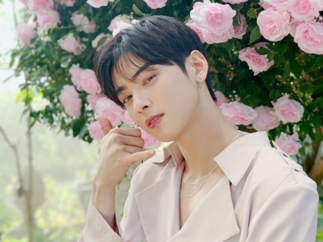 Cha Eun-woo