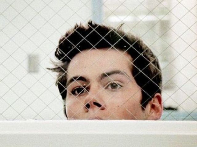 Stiles