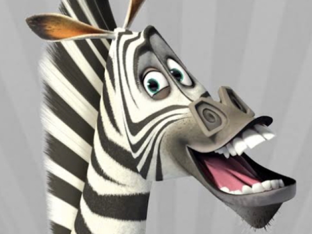 Zebra