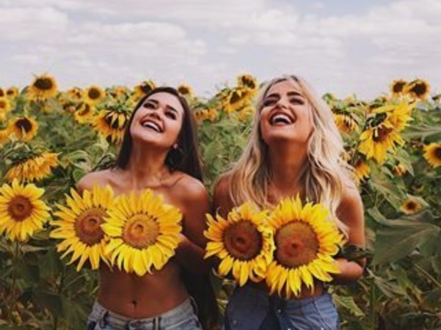 🌻🌻🌻