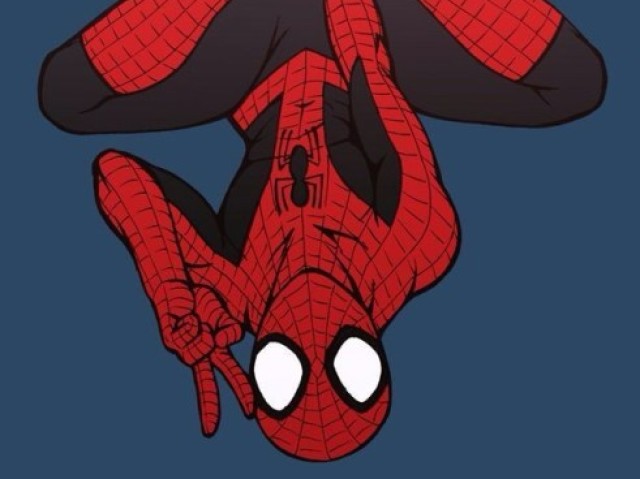 Homem Aranha