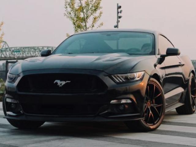 Mustang