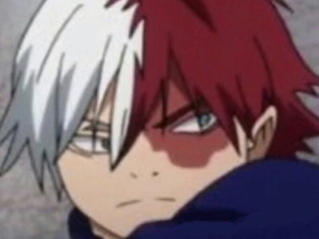 Todoroki shouto