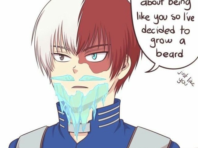 Todoroki shoto