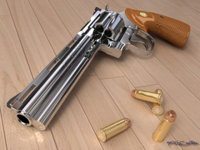 Colt Python