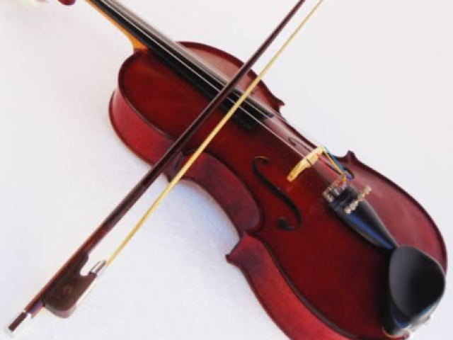 Violino