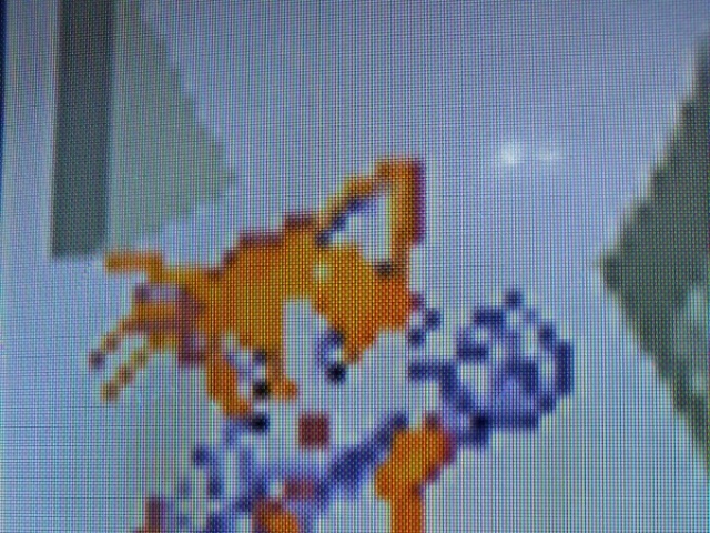 Tails