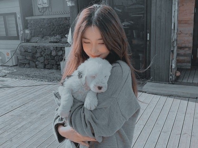 Aesthetic