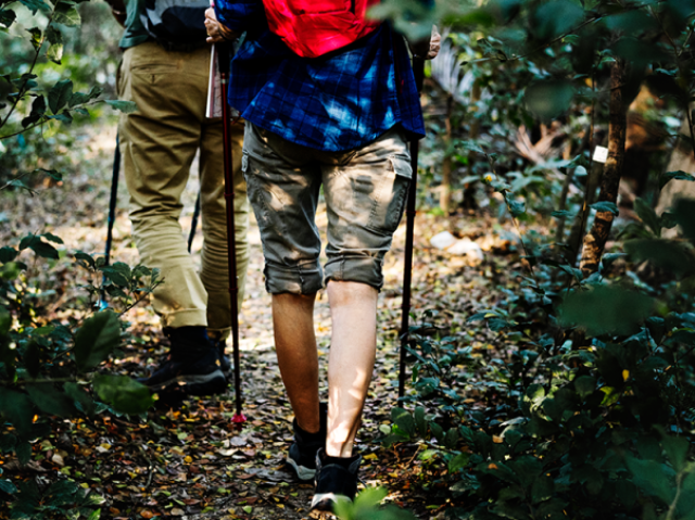 Conforto para desvendar com as próprias mãos e sentir os mistérios da natureza e do nosso mundo até às profundezas.