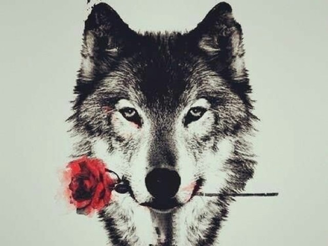 Lobo