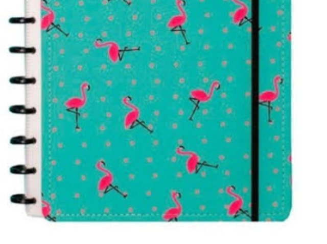 Ou uma agenda de flamingos