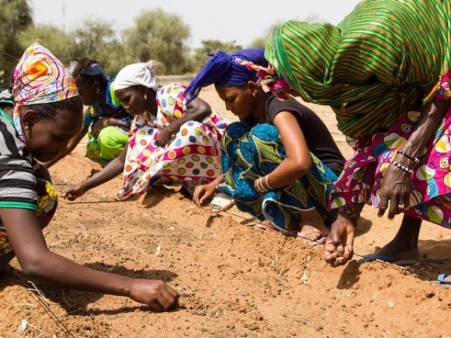 Sim, visto que a população depende da agricultura de subsistência, que representa 60% das atividades agrícolas.