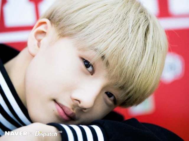 Você é o tipo ideal de Park Jisung?