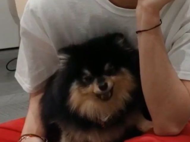 Yeontan