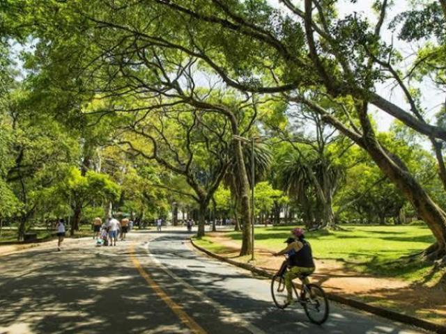 Uma volta no parque