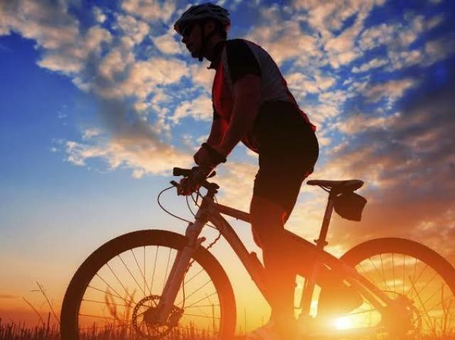 Pedalar