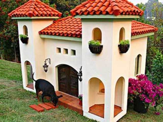 Casinha não, meu dog vai morar em um castelo!