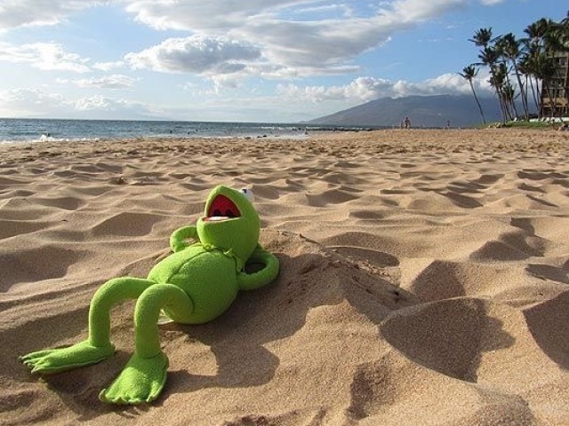 uma praia paradisíaca no caribe