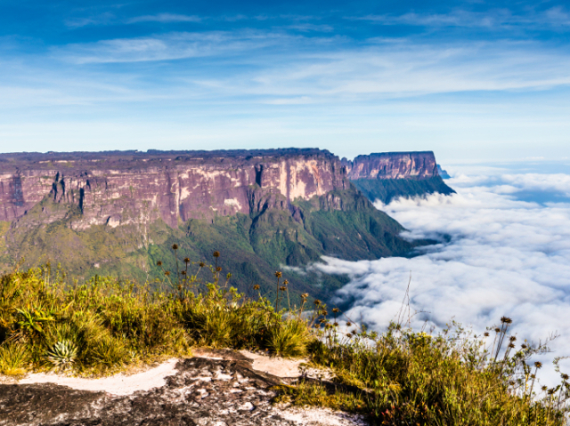 brasil