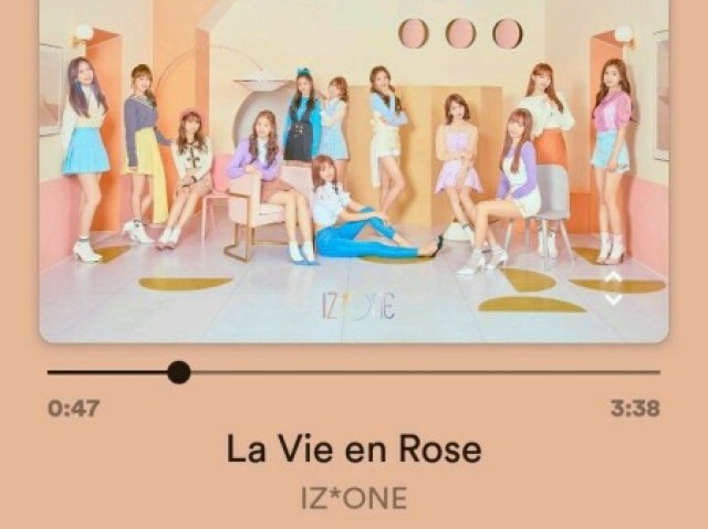 La vie en rose