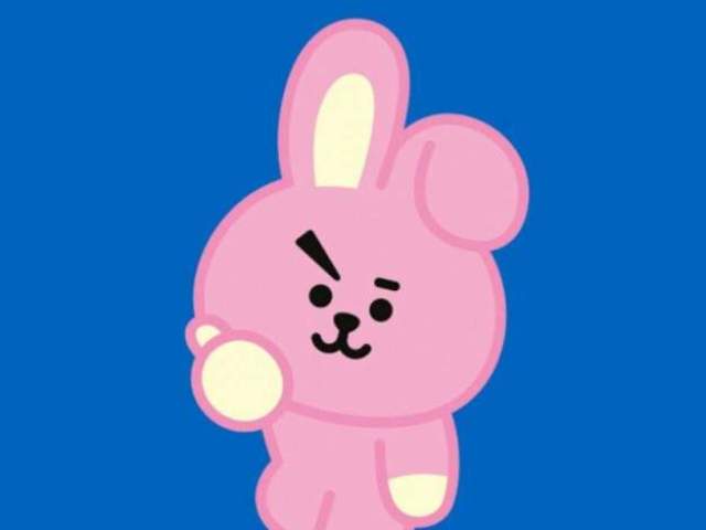 cooky