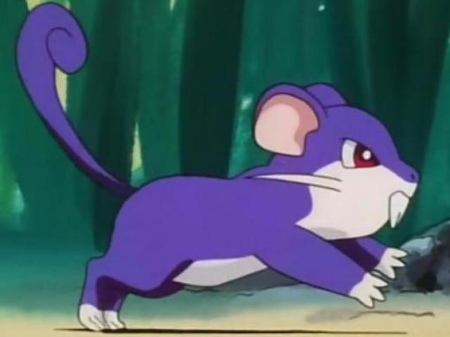 Rattata