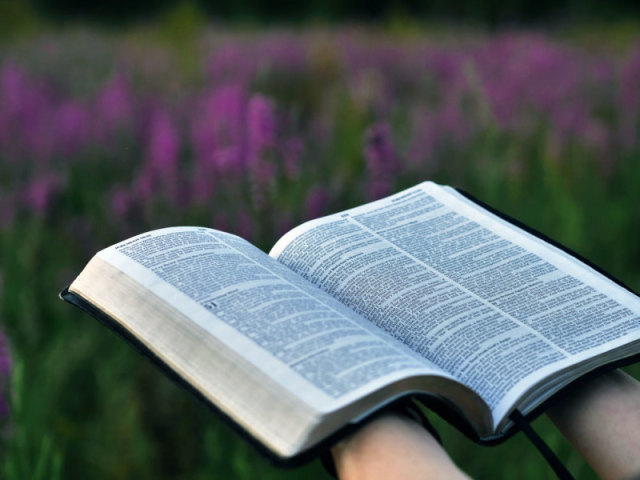 Você conhece os salmos da Bíblia?