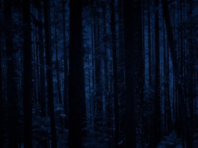 De Madrugada