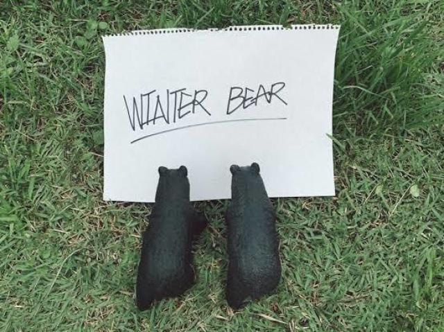 Winter Bear <3